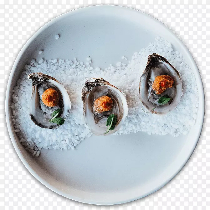 ����ݱ�����ĵ��Ʒ��-���ⱬ�׻�-������