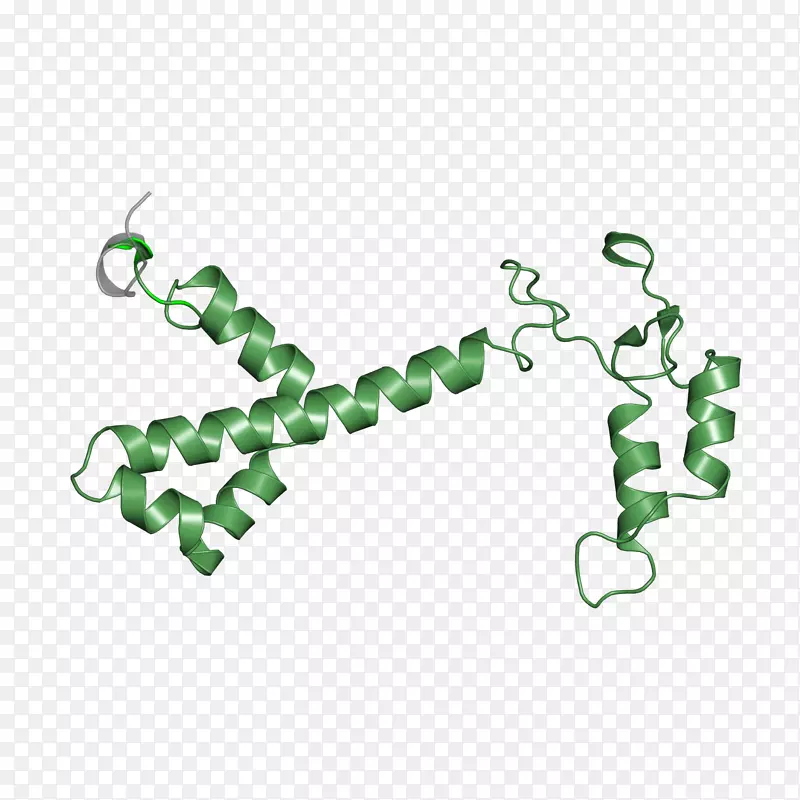 ��ɫ�鱦����-������