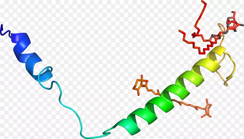 �ߵ������-��-������