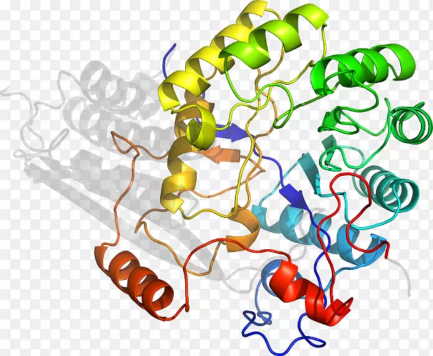 �ߵ������������-������