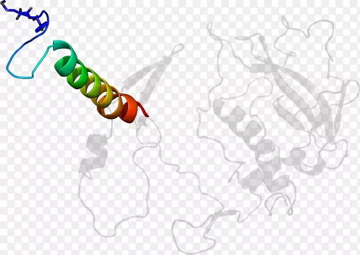 �ߵ������-��-������