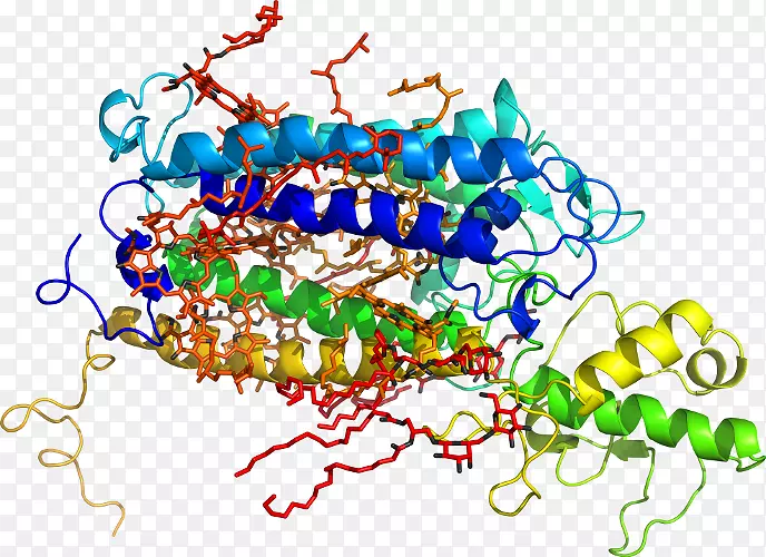 ���������鱦�л�����������鱦����-������