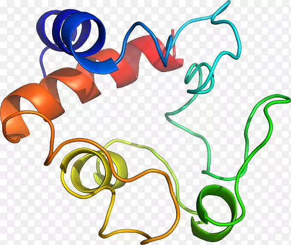 �����鱦������.�鱦-������