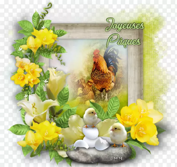 ����������ֽ����-������