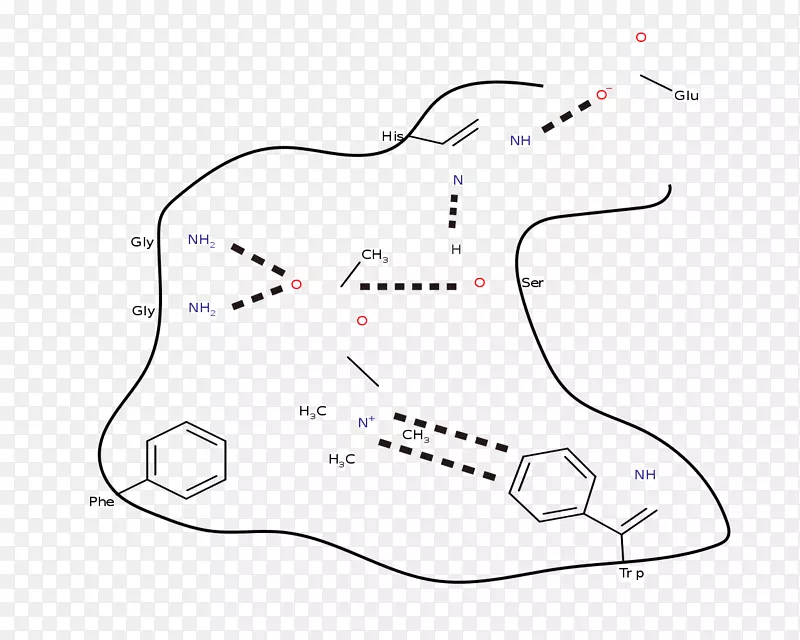 ά���׿������л�ʳƷ-ţ��-������