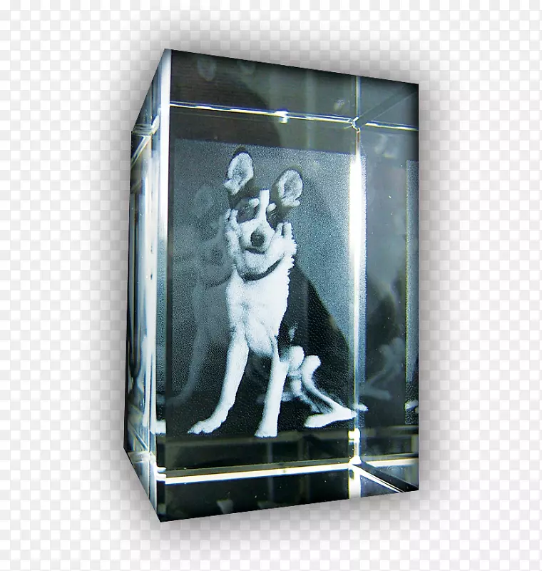 �������.����-������