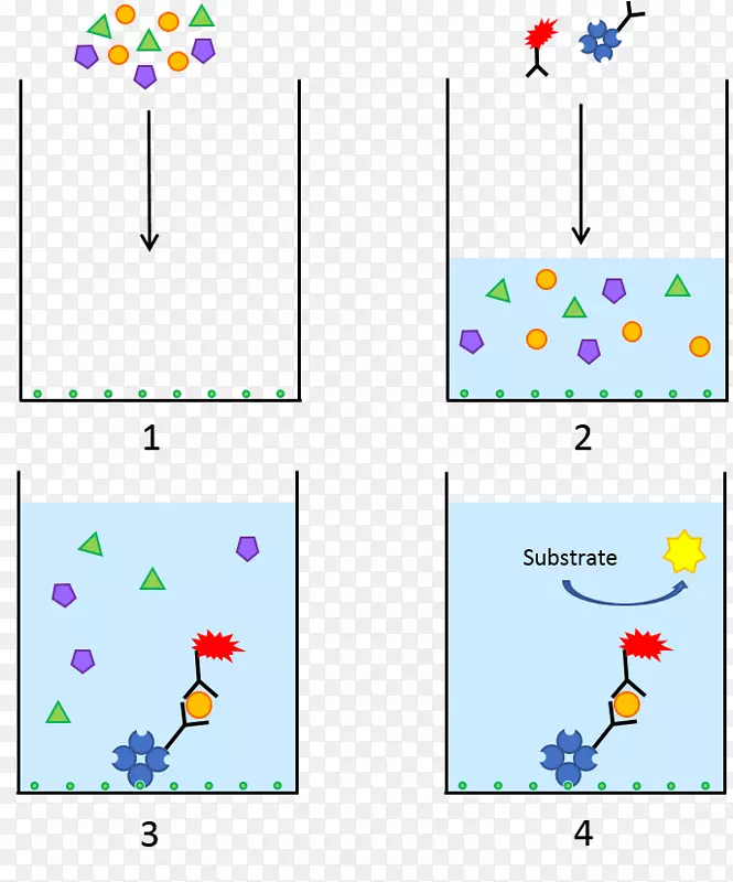 ֱ�ߵ�Ǽ���������-������