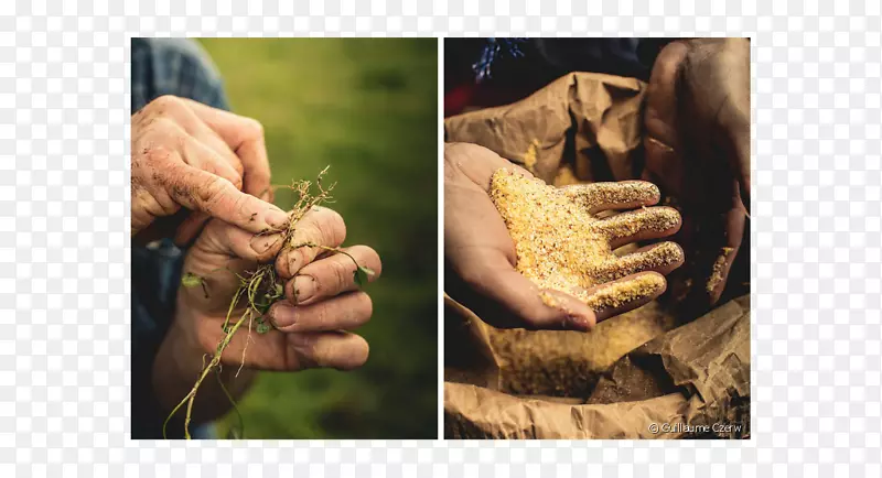 Ĵָ-�ҵ�����-������