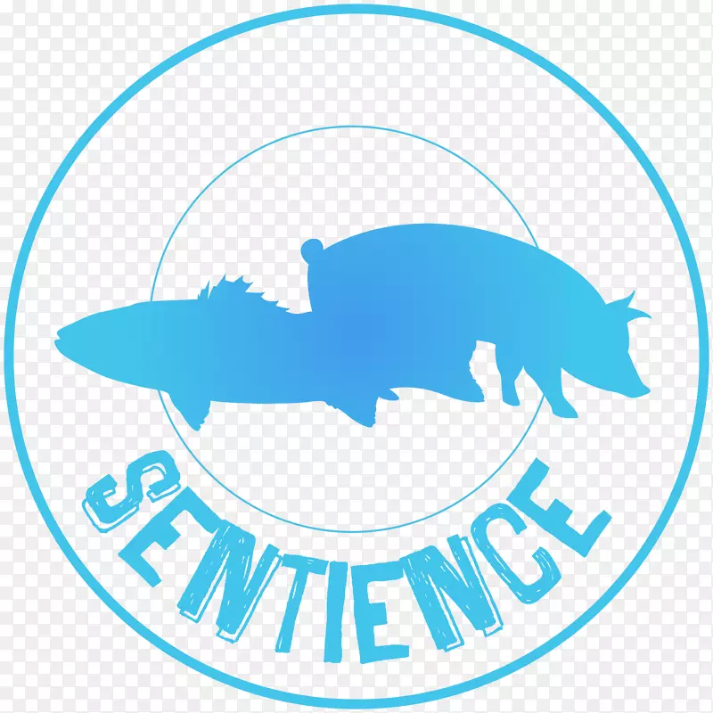 ���ո���ֽԽ�Ϲ�װ��ֽ����-������