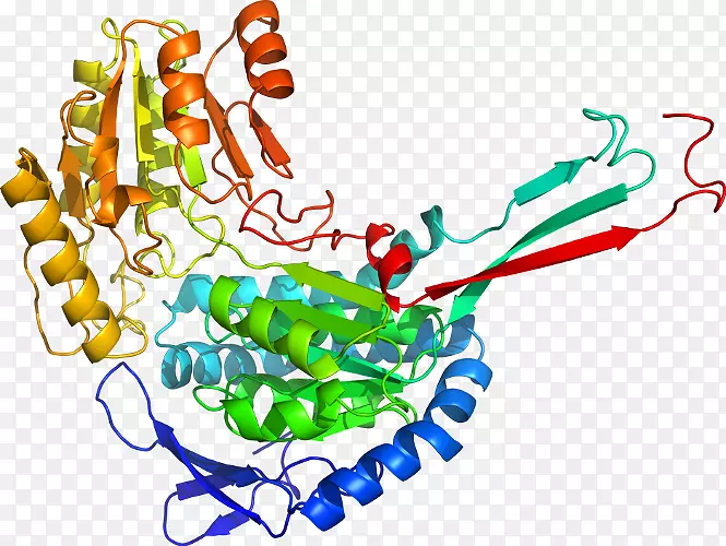 ���������鱦�л�����������鱦����-������