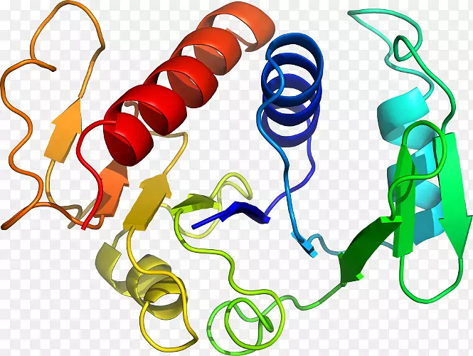 �����鱦������.�鱦-������