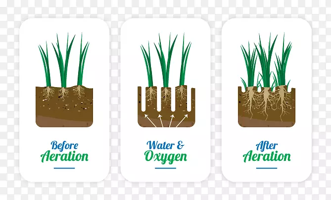 Ʒ�Ʊ�־��-����-������