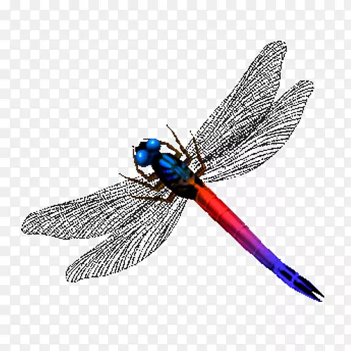 ��������-����-������