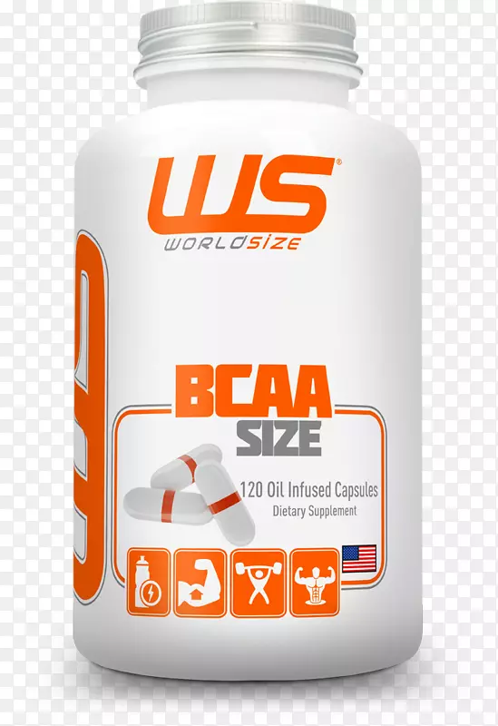 ��ʳ�����֧�����������嵰�׽���-������