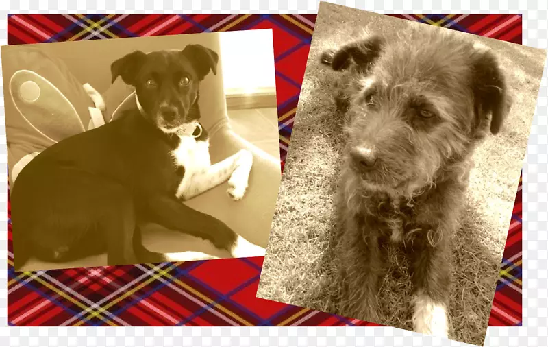 ������ʥ��С��-������