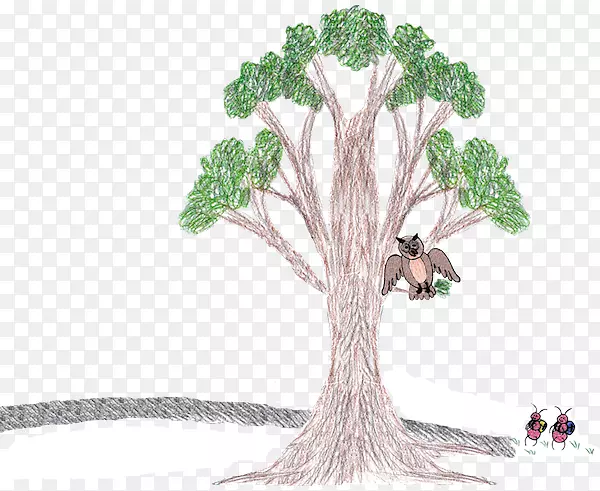 ����ֲ�ﾥ����ֲ��-�������Ͽ�-������