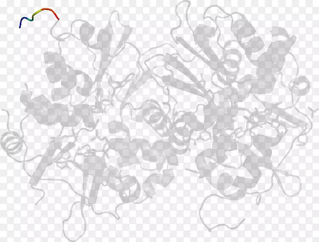 ��ɫ���-������