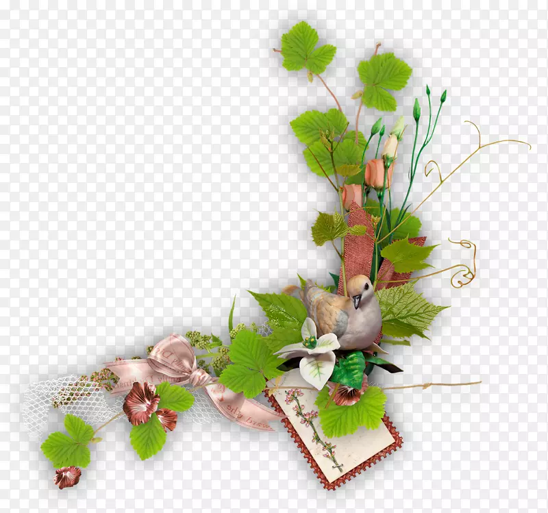 ���軨�����.���-������