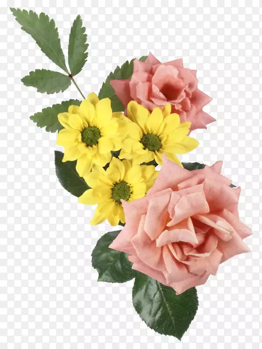 ��԰õ�廨-������