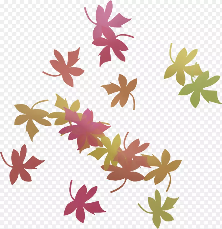 ������ƻ���Ҷ��-Ҷ��-������