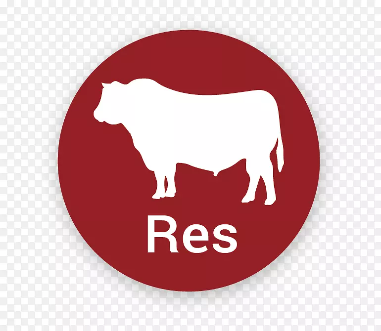 ��־Ʒ����ɫ����-������