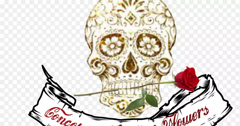 ­������������ͷ��ͷ�ǹǻ�-������