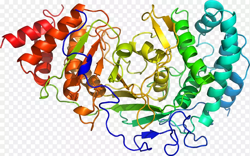 ���������鱦�л�����������鱦����-������