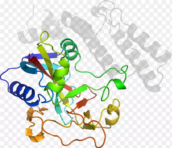 ƽ��������������������-������