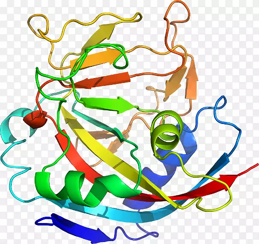 �ߵ������-��-������