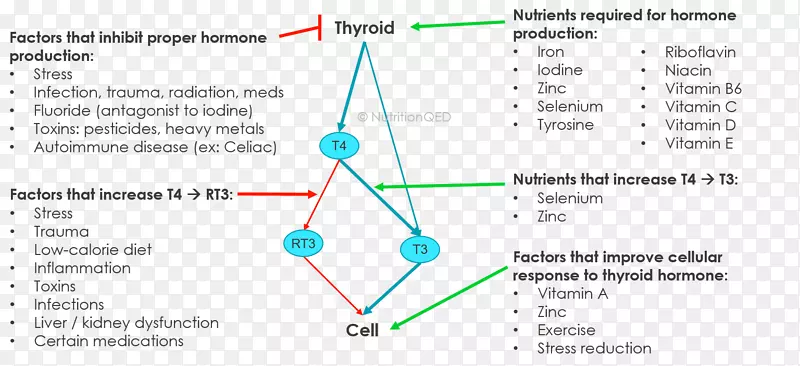 �ߵ��ͼ-��-������