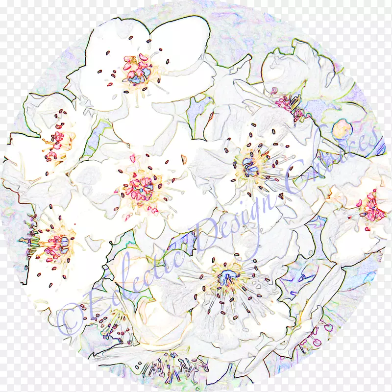 ��������л�����-������