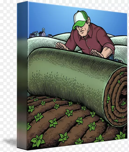 ��ɫ���-������