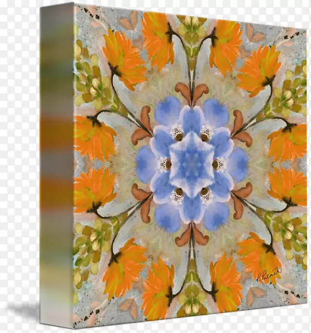 ���껨��ֲ��ͼ�����-������