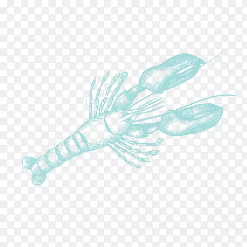 �л�-������