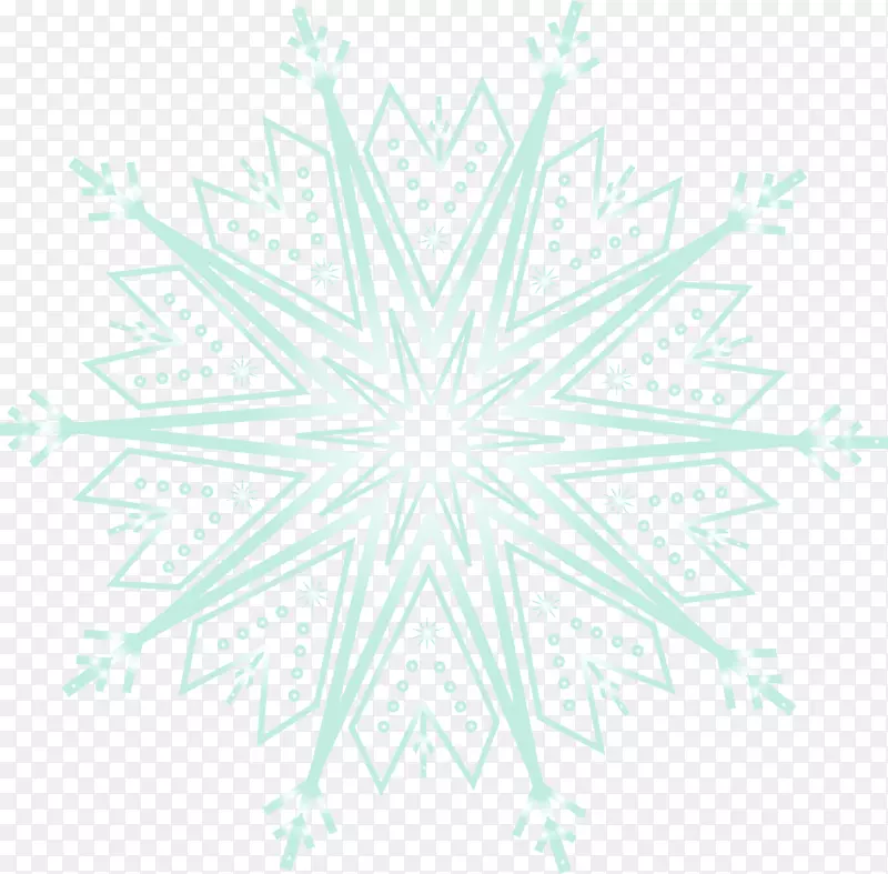 ��ͨ��ɫѩ��-������