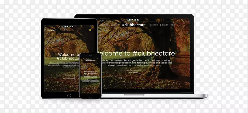 С���߶�ý��Ʒ�����������帨�����������ֲ���������Ȫ-������