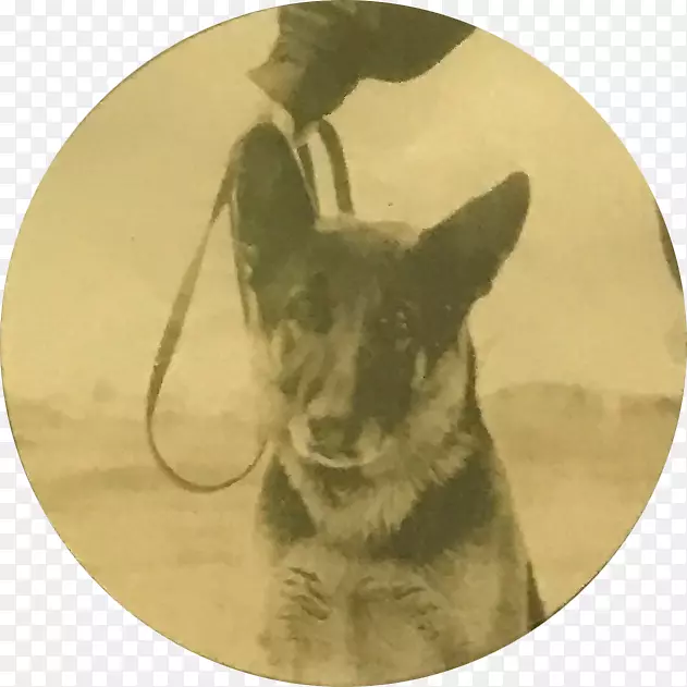 Ȯ�ֱ�Ȯ-������