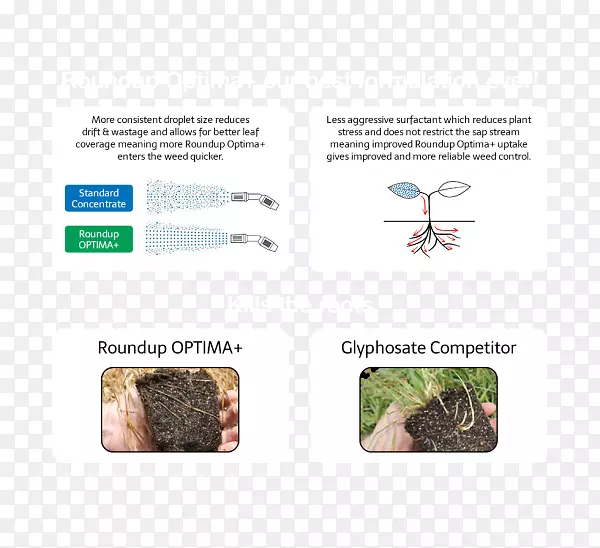 ���ݼ�Ʒ�Ʋݸ�����-������