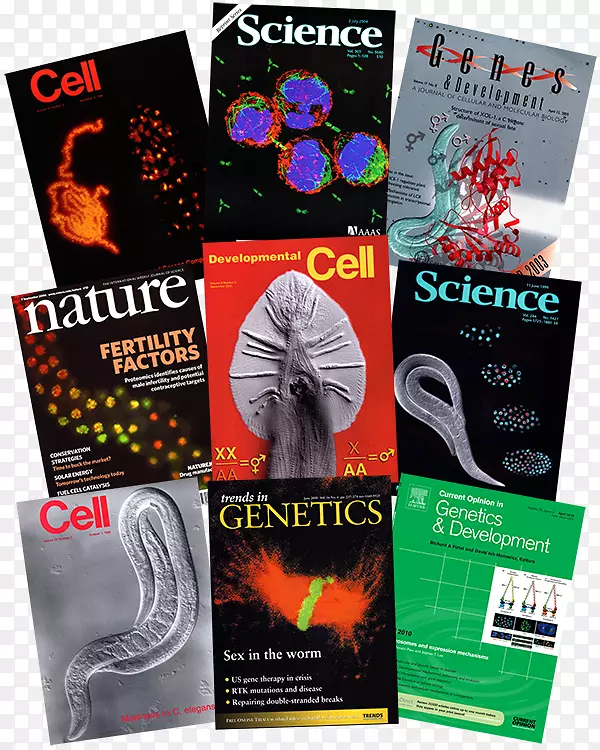 ƽ����ƹ��Ʒ�ƿ�ѧ������̬����-������