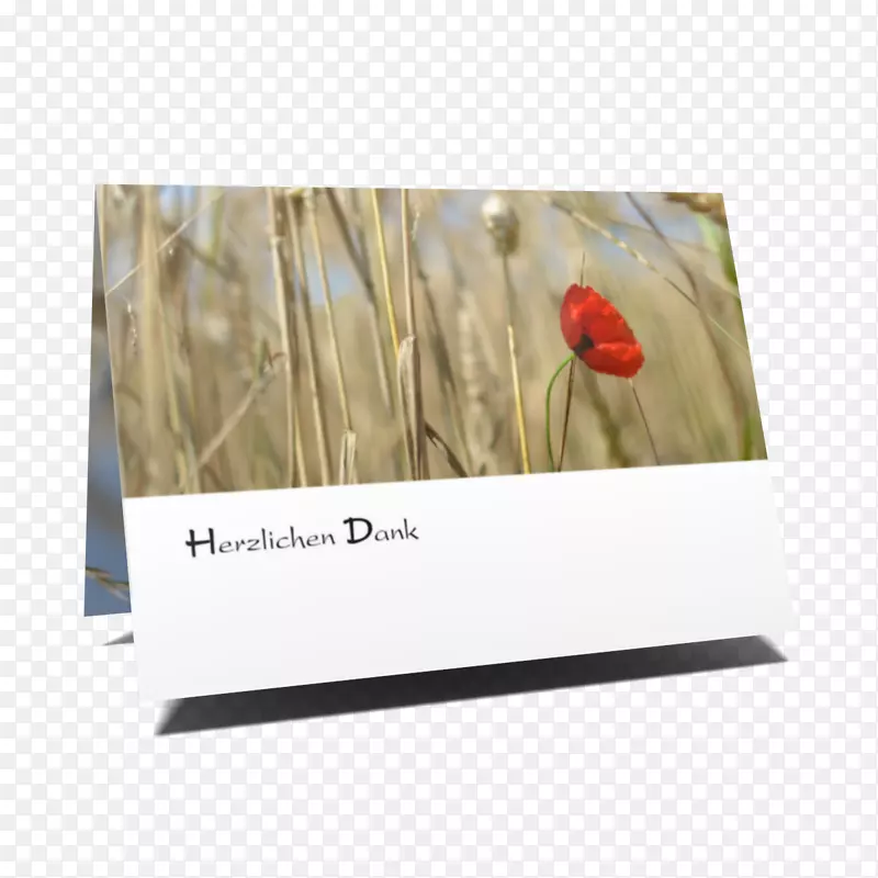 ��򳤷���-������