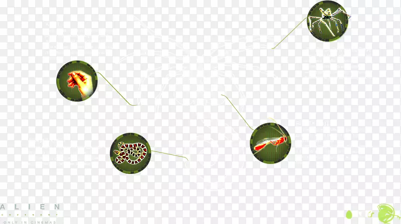 �����ֽ����ˮ������-������