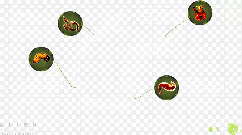 ˮ�����-������