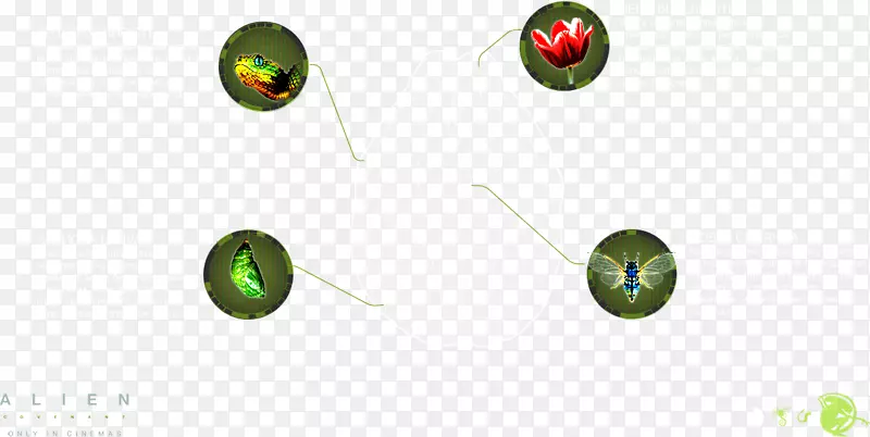 �����ֽ���鱦����-������