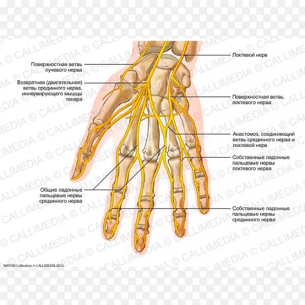 ���������������ϵͳ��-������