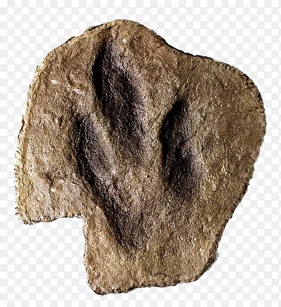 ë��-������-������