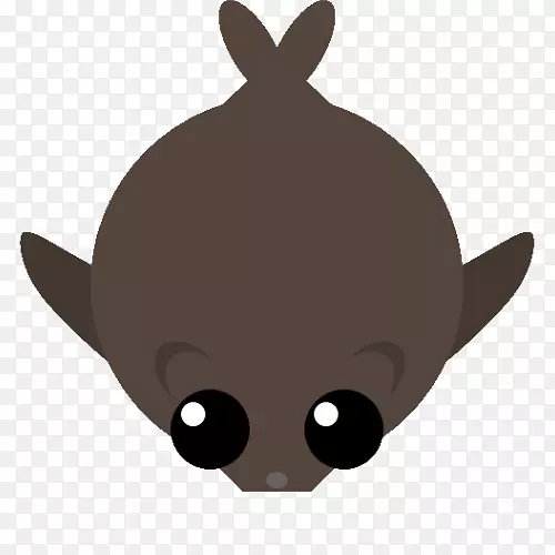 ���룬è�����𣬹������ӣ�è-������