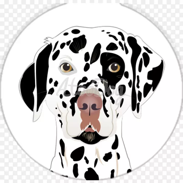 ��������ǹ���ֳ���˶�����ı���С��-������