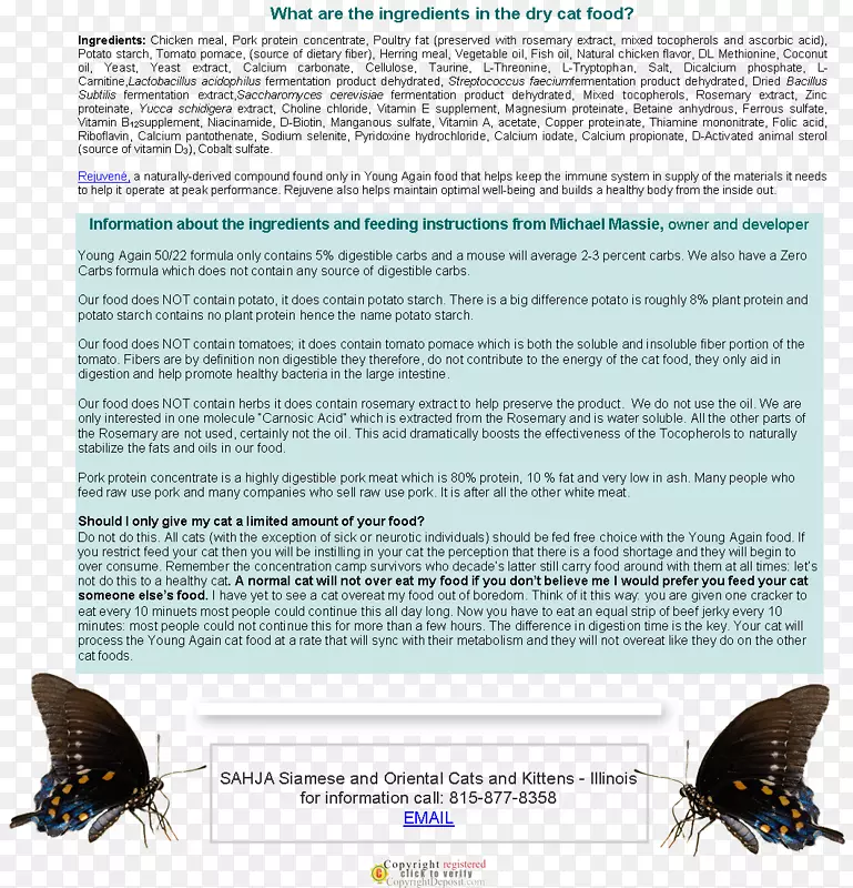 ��������-����-������