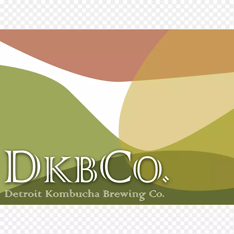 �̱��������-������