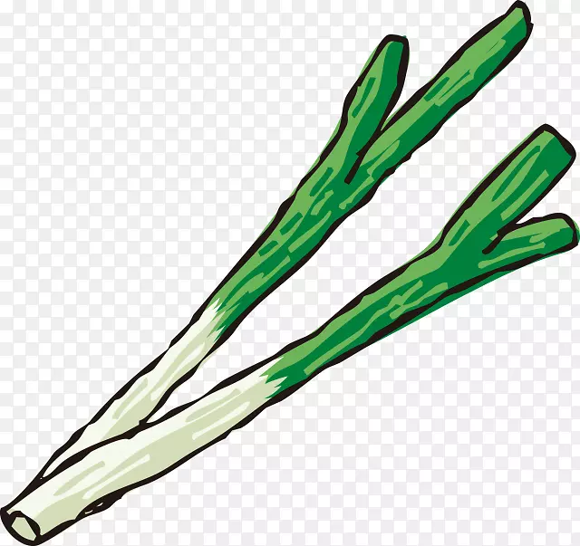 �߲˴о�-�߲�-������